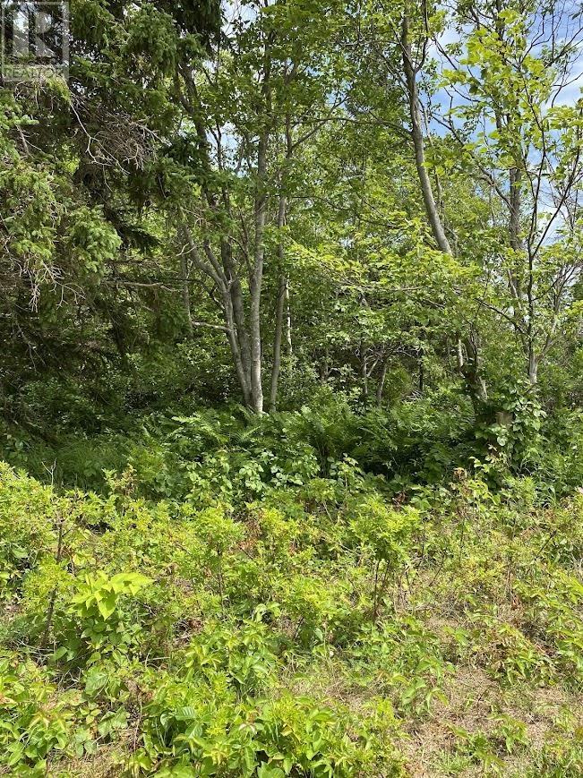 Lot Maclean Road, Milo, Prince Edward Island  C0B 1V0 - Photo 11 - 202611777