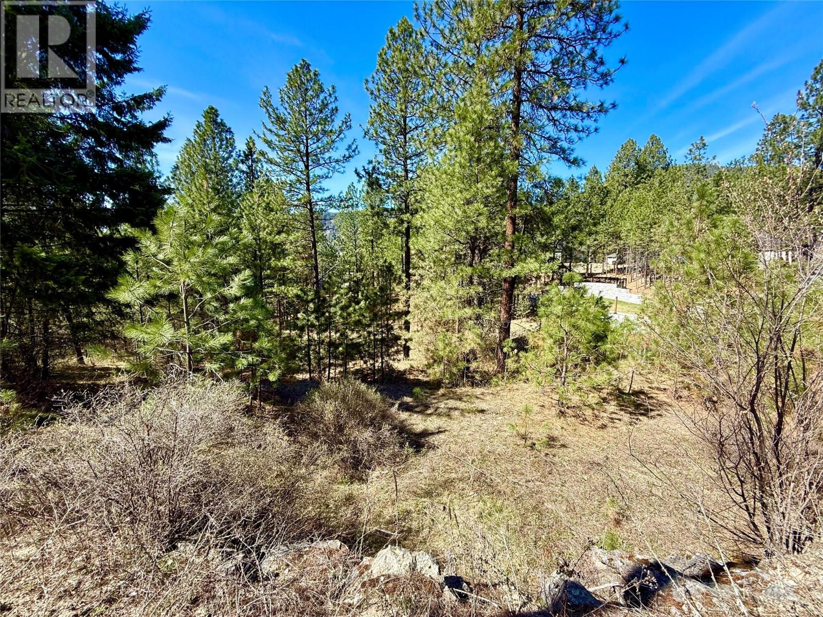 Lot 11 Prospect Drive, Grand Forks, British Columbia  V0H 1H2 - Photo 8 - 10374361