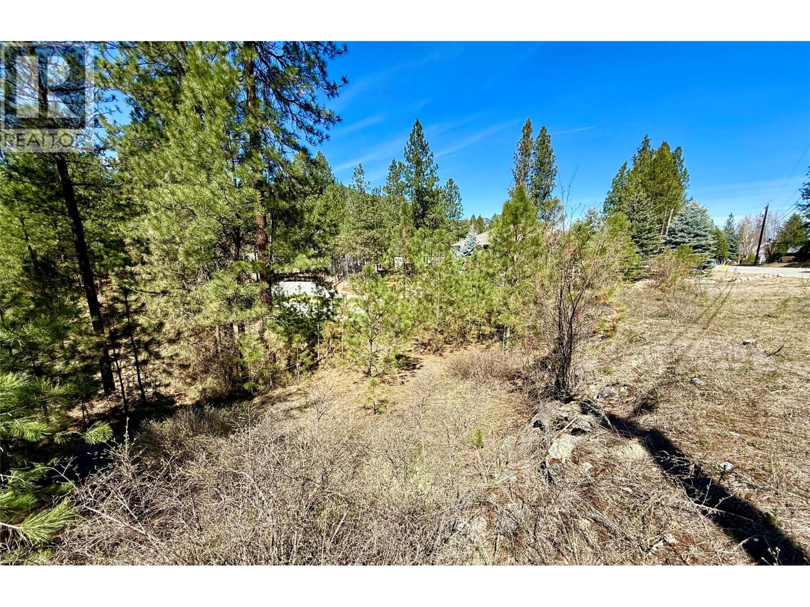 Lot 11 Prospect Drive, Grand Forks, British Columbia  V0H 1H2 - Photo 9 - 10374361