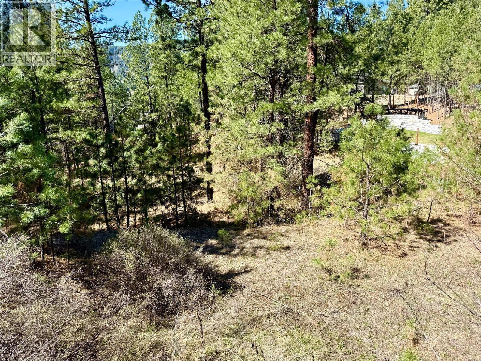 Lot 11 Prospect Drive, Grand Forks, British Columbia  V0H 1H2 - Photo 6 - 10374361