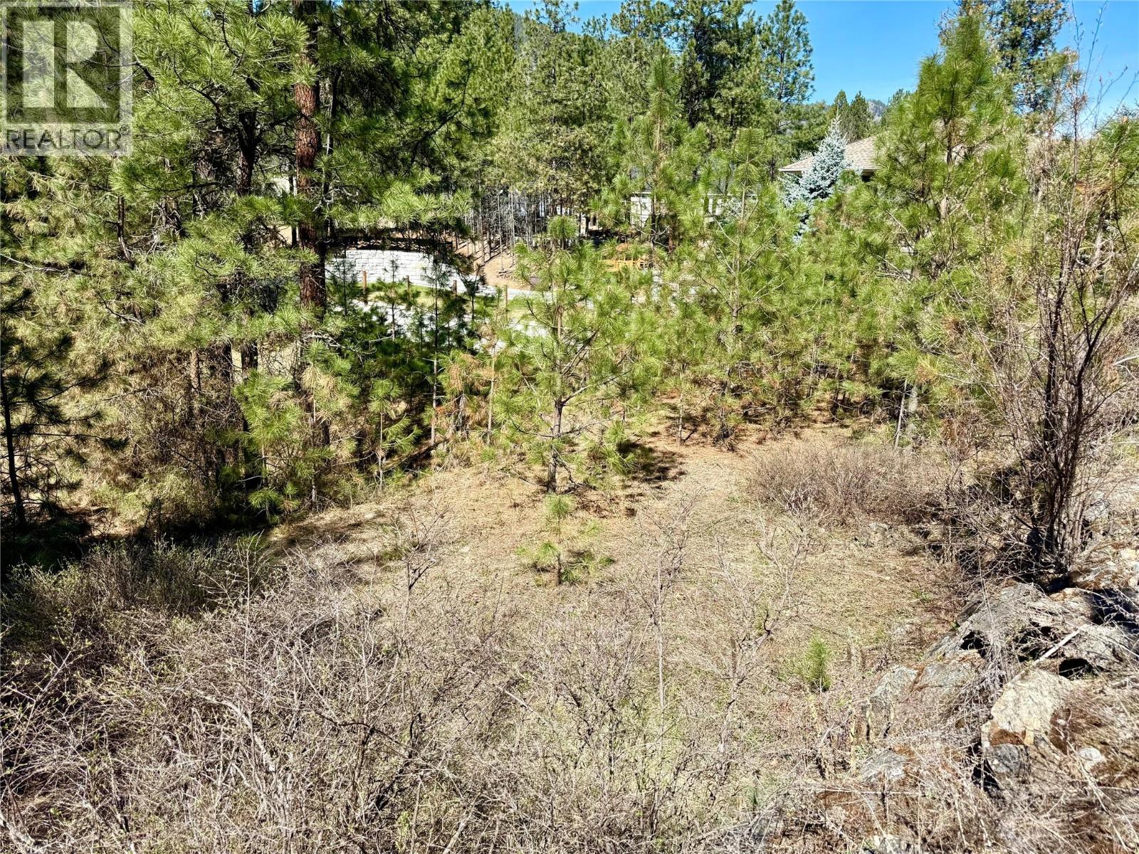 Lot 11 Prospect Drive, Grand Forks, British Columbia  V0H 1H2 - Photo 10 - 10374361