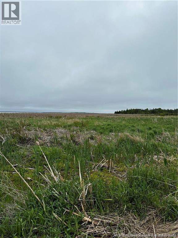 Vacant  Lot Beausoleil Street, Grande-Digue, New Brunswick  E4R 3W2 - Photo 4 - NB140287