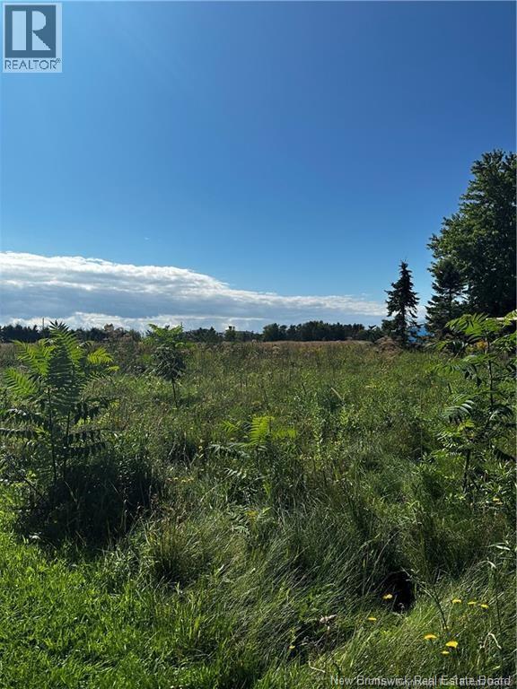 Vacant  Lot Beausoleil Street, Grande-Digue, New Brunswick  E4R 3W2 - Photo 6 - NB140287