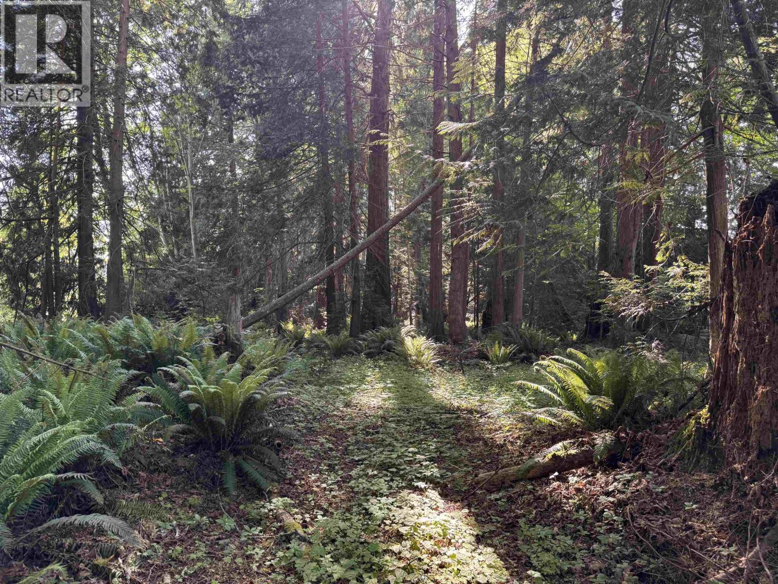 Lot A Sechelt Inlet Road, Sechelt, British Columbia  V7Z 0L3 - Photo 15 - R3127436