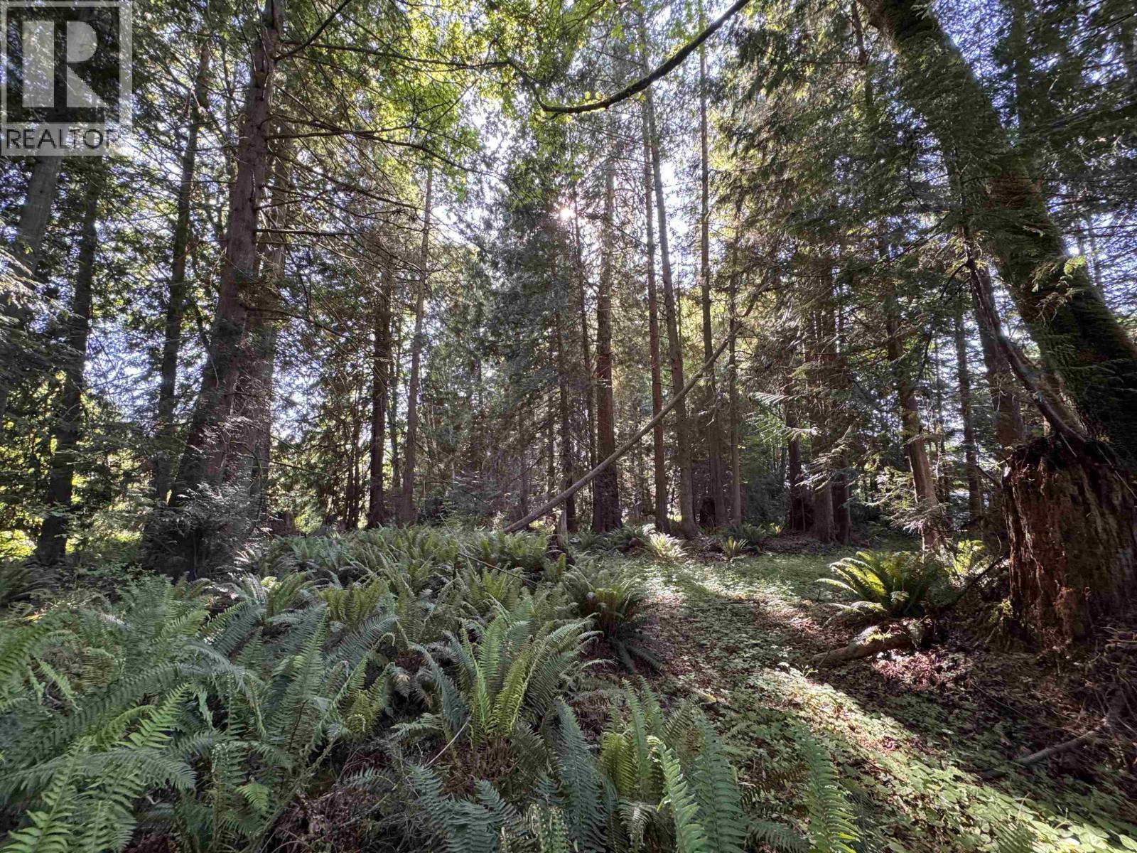 Lot A Sechelt Inlet Road, Sechelt, British Columbia  V7Z 0L3 - Photo 18 - R3127436