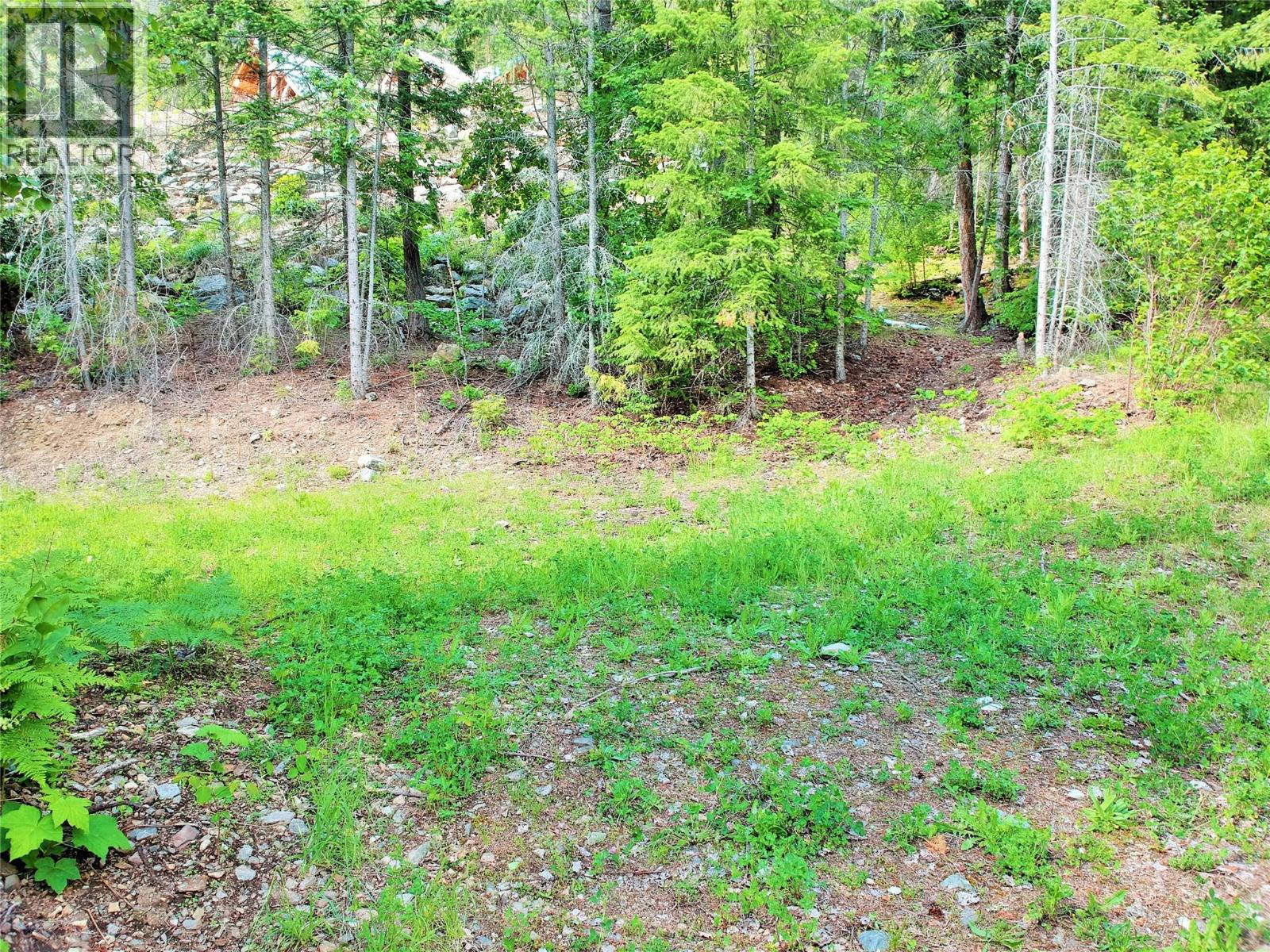 10 Old Town Road, Sicamous, British Columbia V0E 2V4 - Photo 18 - 10388539