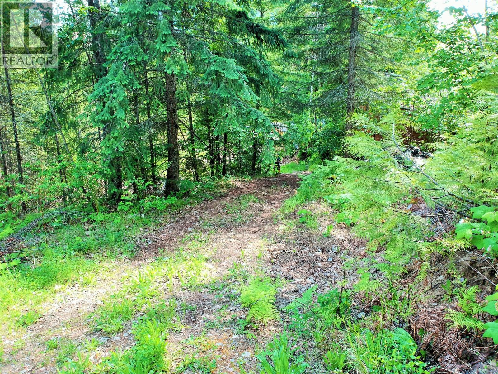 10 Old Town Road, Sicamous, British Columbia V0E 2V4 - Photo 19 - 10388539