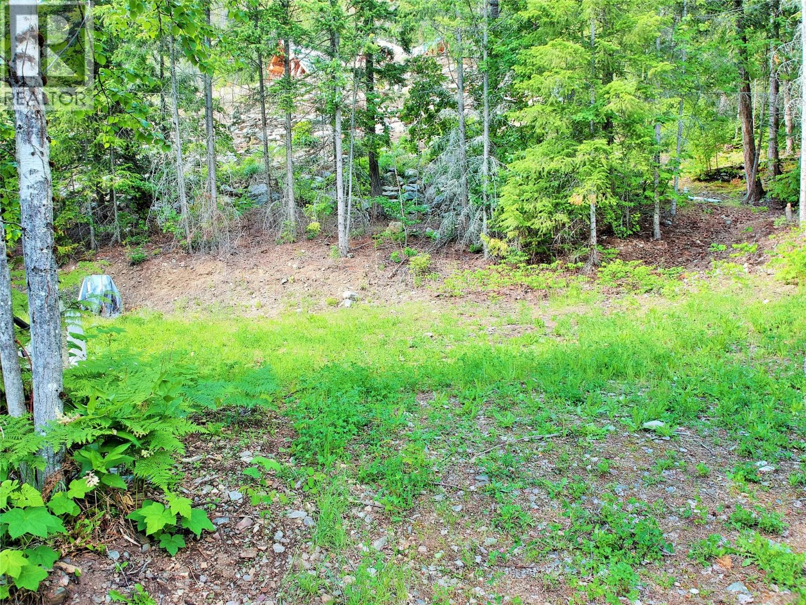 10 Old Town Road, Sicamous, British Columbia V0E 2V4 - Photo 17 - 10388539