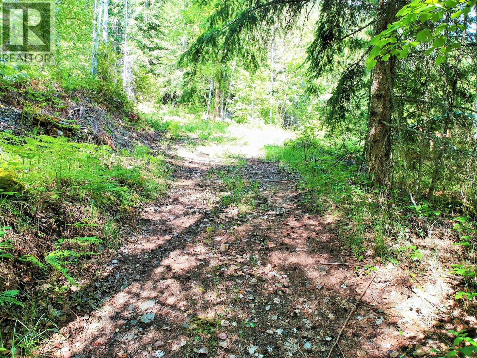 10 Old Town Road, Sicamous, British Columbia V0E 2V4 - Photo 16 - 10388539