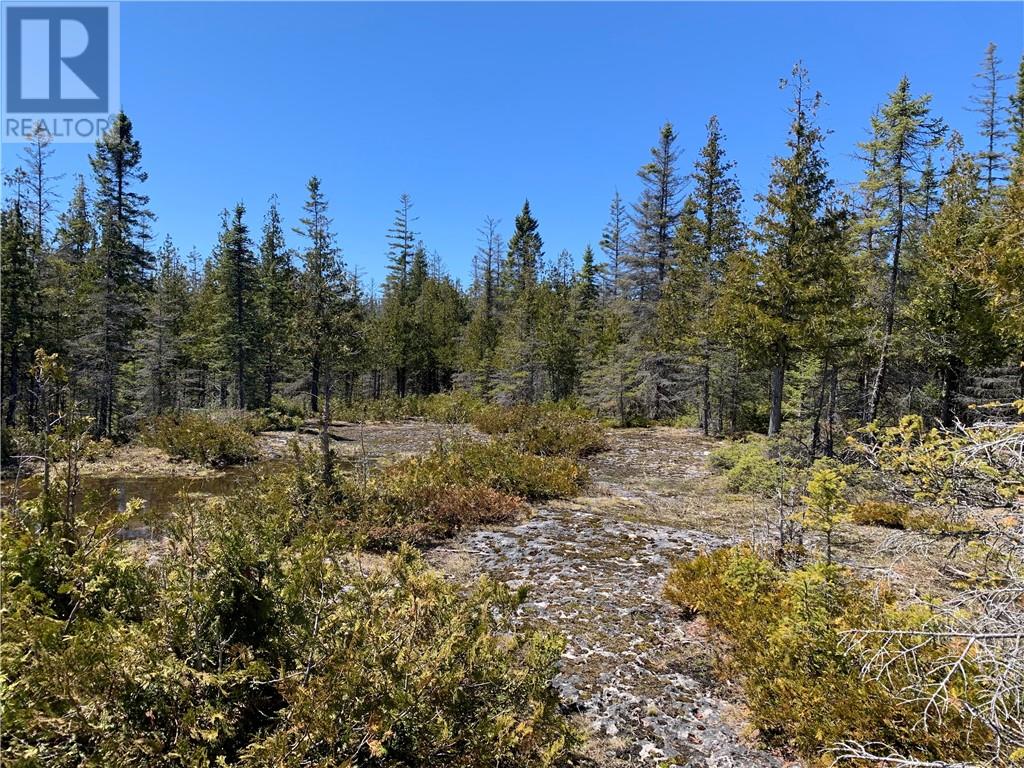 Pt Lt 14 Con 12, Tehkummah, Ontario  P0P 2C0 - Photo 1 - 2128036
