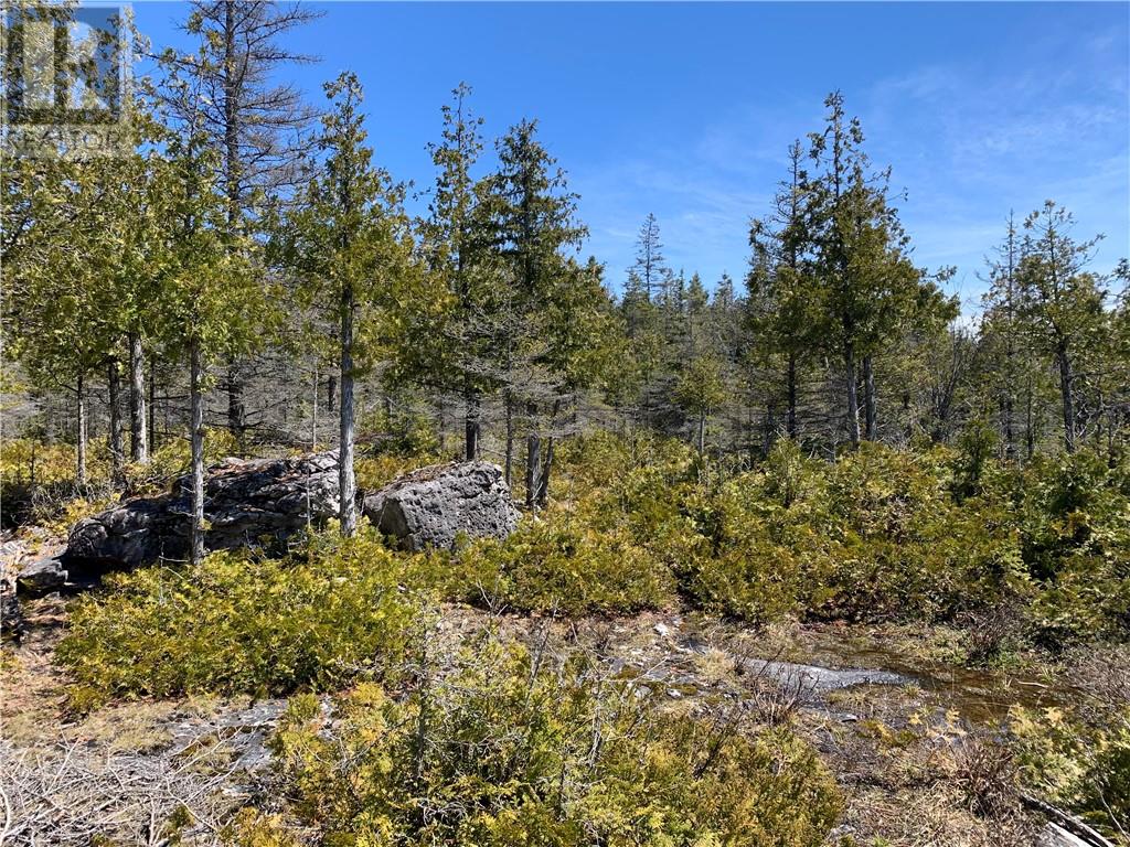 Pt Lt 14 Con 12, Tehkummah, Ontario  P0P 2C0 - Photo 2 - 2128036
