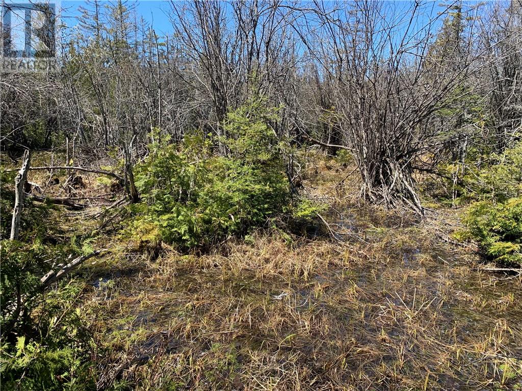 Pt Lt 14 Con 12, Tehkummah, Ontario  P0P 2C0 - Photo 3 - 2128036