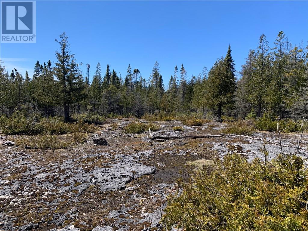 Pt Lt 14 Con 12, Tehkummah, Ontario  P0P 2C0 - Photo 4 - 2128036