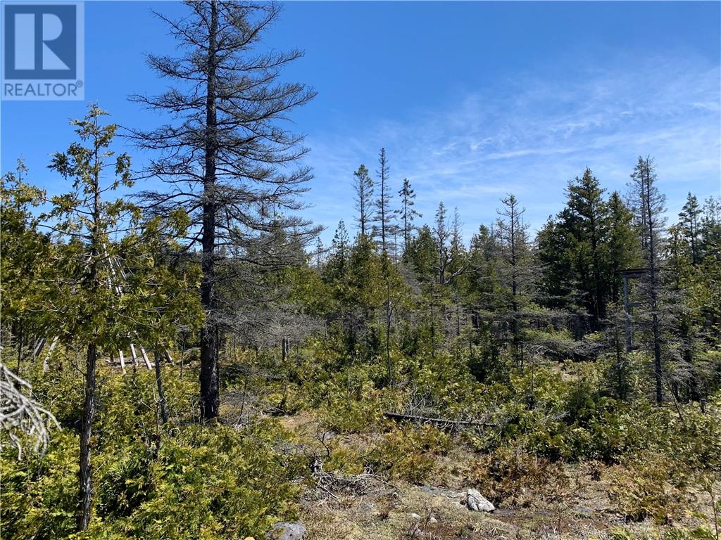 Pt Lt 14 Con 12, Tehkummah, Ontario  P0P 2C0 - Photo 5 - 2128036