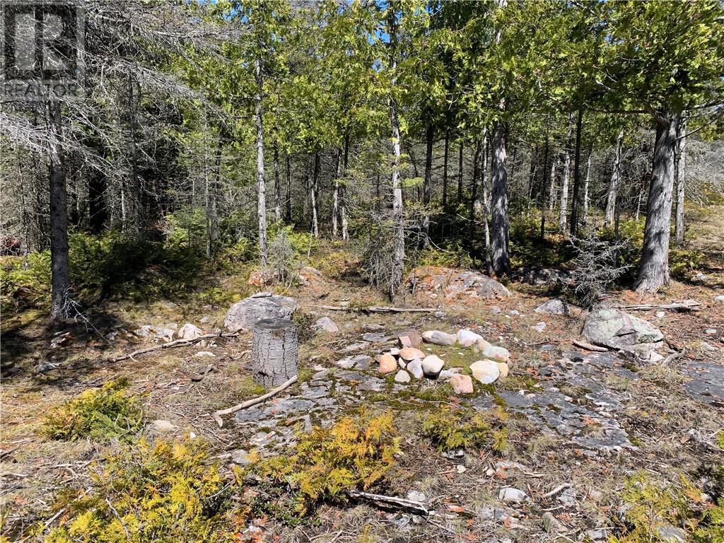 Pt Lt 14 Con 12, Tehkummah, Ontario  P0P 2C0 - Photo 6 - 2128036