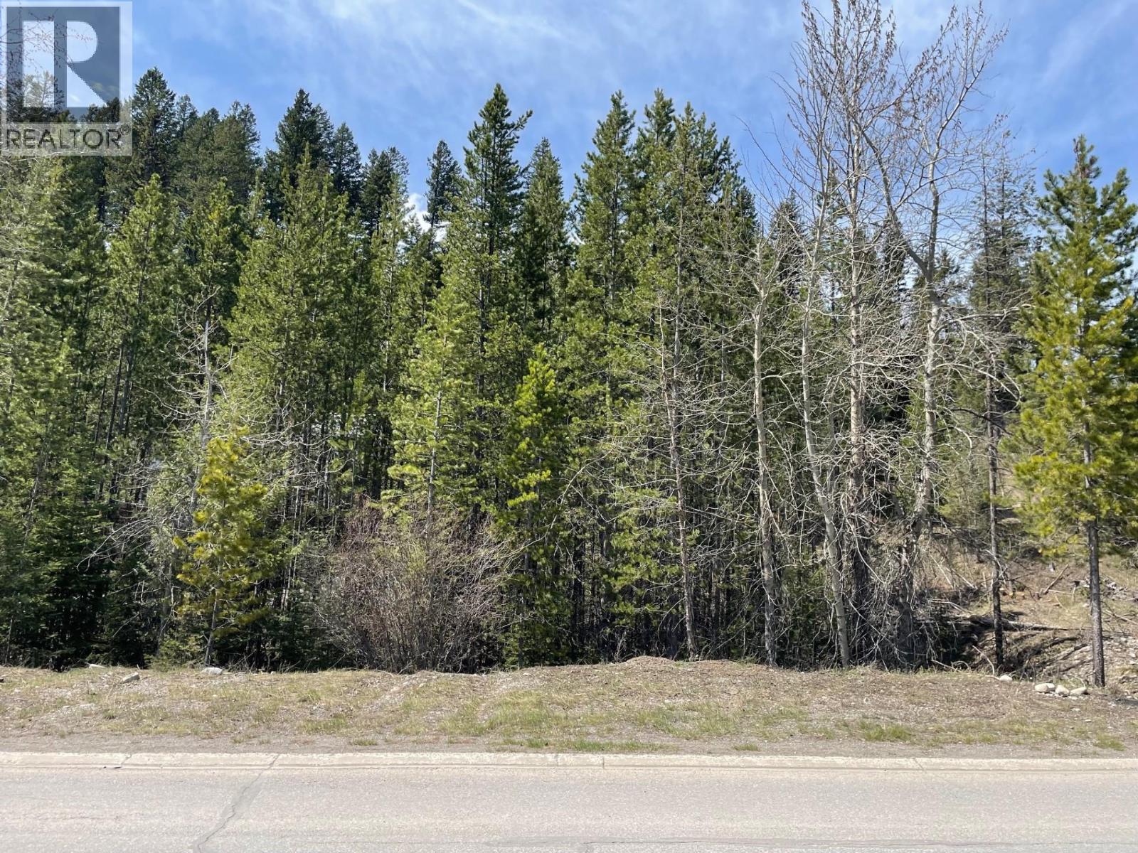 10 Dawson Crescent, Elkford, British Columbia  V0B 1H0 - Photo 2 - 10386229