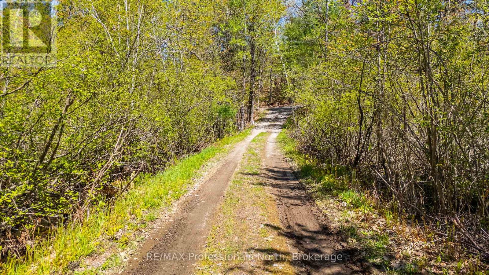 1011 Palomino Trail, Minden Hills, Ontario  K0M 2K0 - Photo 34 - X13171286
