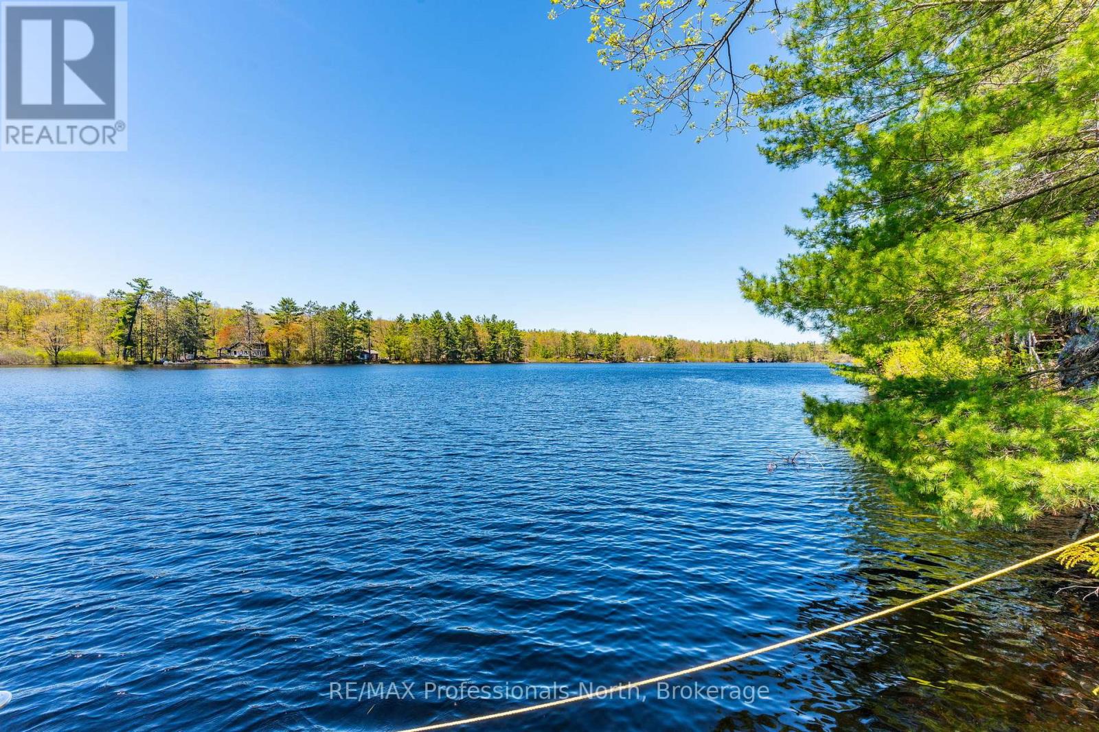 1011 Palomino Trail, Minden Hills, Ontario  K0M 2K0 - Photo 8 - X13171286