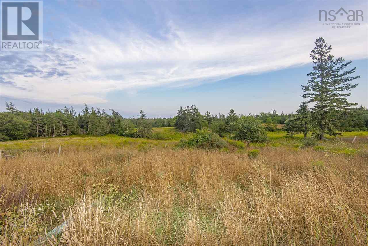 Lot Lake George Road, Lake George, Nova Scotia  B0W 3E0 - Photo 1 - 202528907