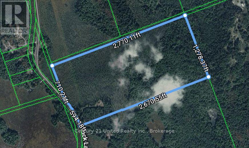 573 Jack Lake Road, North Kawartha, Ontario  K0L 1A0 - Photo 15 - X13169158