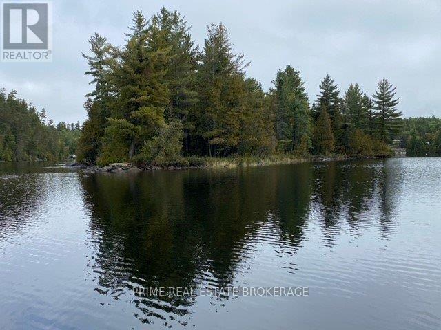 0 Strathcona Island, Temagami, Ontario  P0H 2H0 - Photo 4 - X13171472