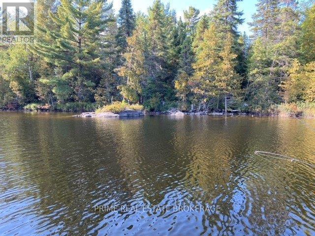 0 Strathcona Island, Temagami, Ontario  P0H 2H0 - Photo 5 - X13171472