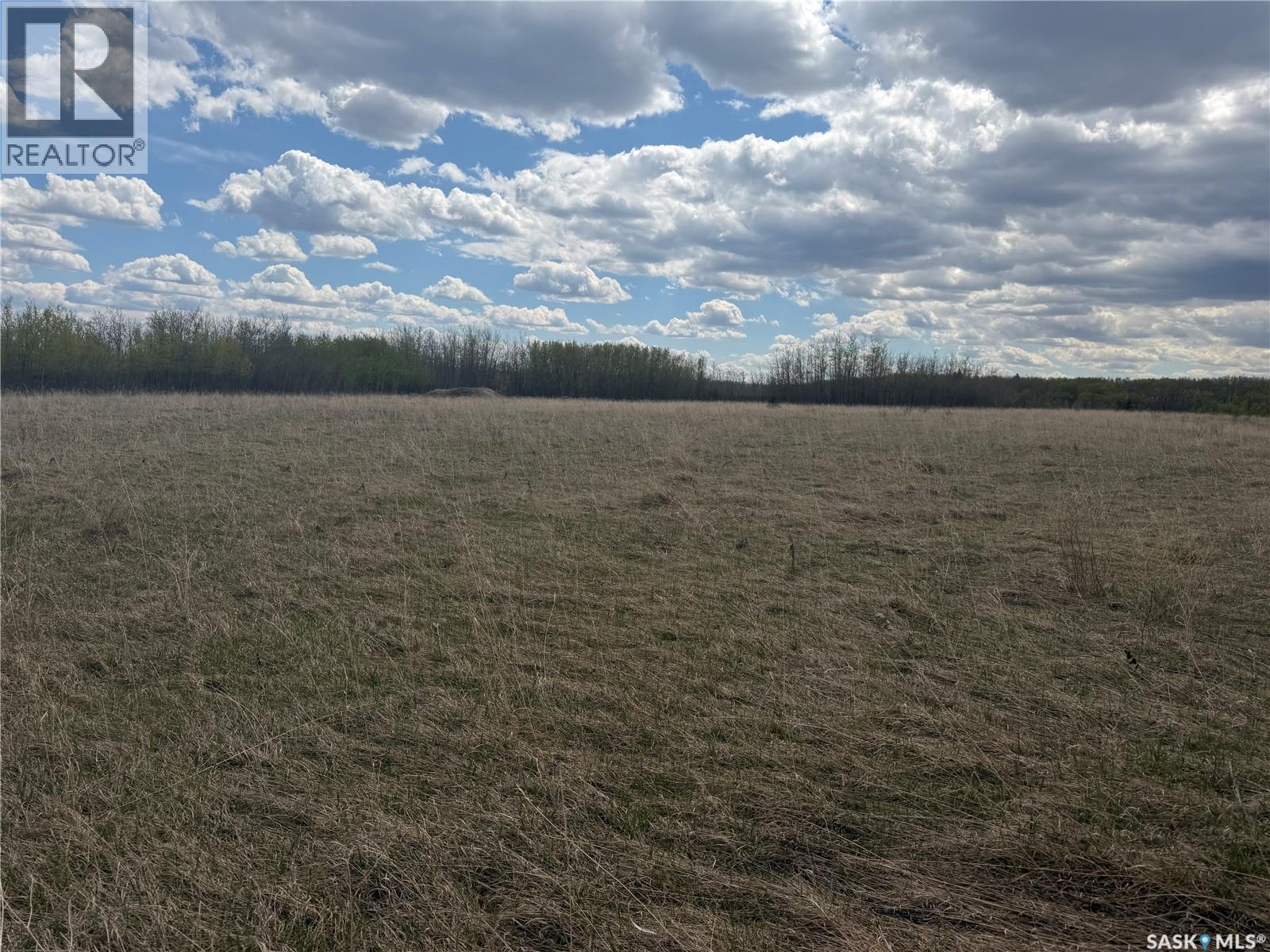 98.7 Acre Aggregate Land 6 Miles South Spiritwood, Spiritwood Rm No. 496, Saskatchewan  S0J 2M0 - Photo 18 - SK037045