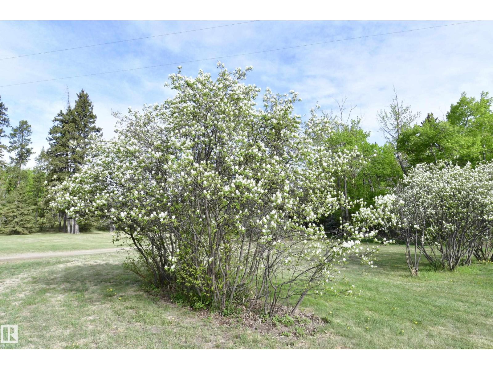 474073 Rge Road 242, Rural Wetaskiwin County, Alberta  T0C 1Z0 - Photo 40 - E4486046