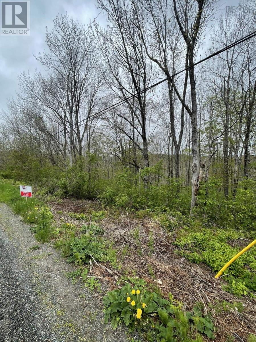 Acreage Brierly Brook Road, Antigonish, Nova Scotia  B2G 2K9 - Photo 4 - 202612107