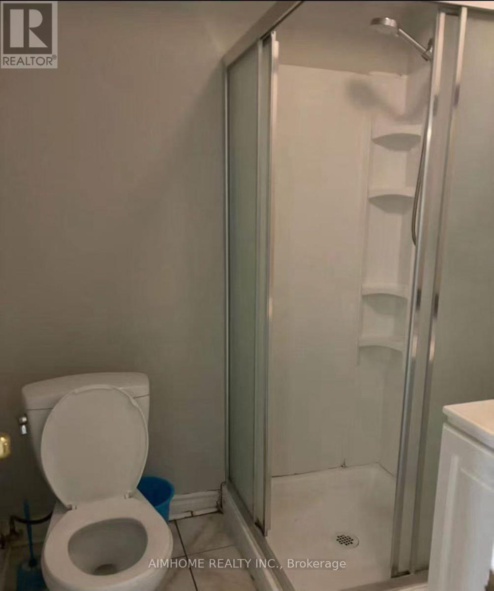 Basement - 6230 Mcgriff Court, Mississauga, Ontario  L5V 2G5 - Photo 5 - W13171572