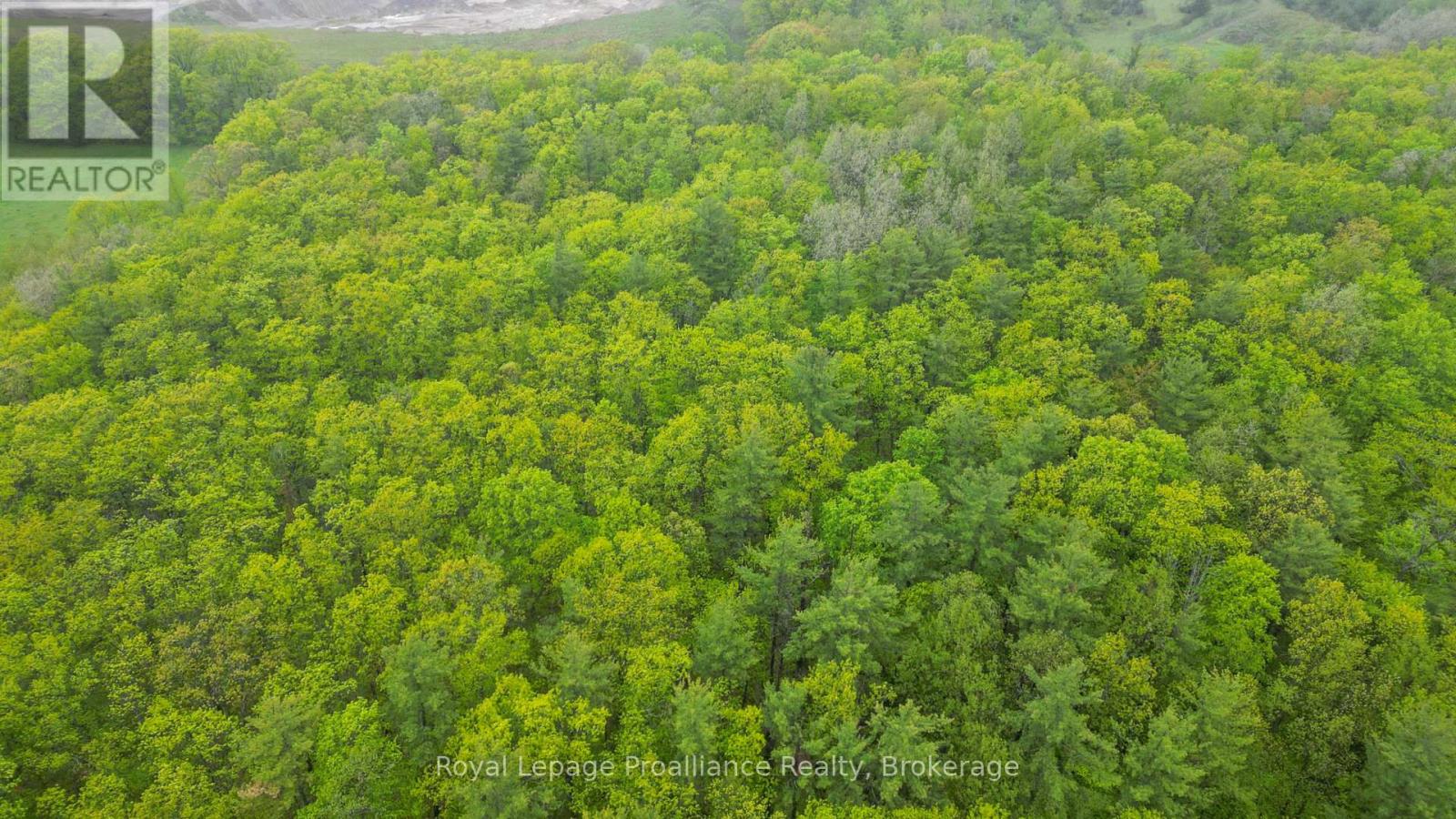 526 Old Wooler Road, Brighton, Ontario  K0K 1R0 - Photo 41 - X13171780