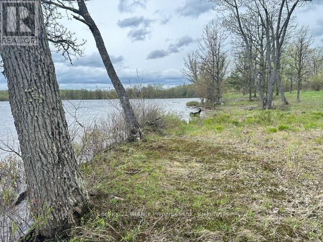 23 Holiday Road, Seguin, Ontario  P2A 2W9 - Photo 10 - X13171880