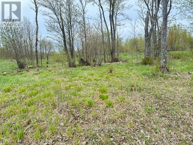 23 Holiday Road, Seguin, Ontario  P2A 2W9 - Photo 11 - X13171880