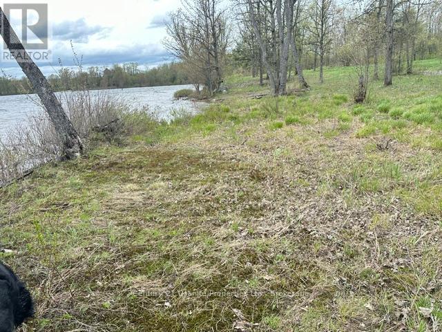 23 Holiday Road, Seguin, Ontario  P2A 2W9 - Photo 14 - X13171880