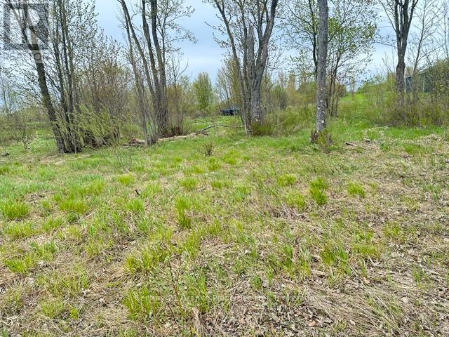 23 Holiday Road, Seguin, Ontario  P2A 2W9 - Photo 17 - X13171880