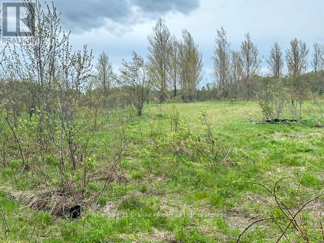 23 Holiday Road, Seguin, Ontario  P2A 2W9 - Photo 23 - X13171880