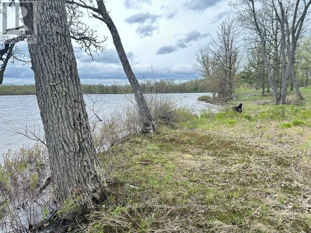 23 Holiday Road, Seguin, Ontario  P2A 2W9 - Photo 3 - X13171880