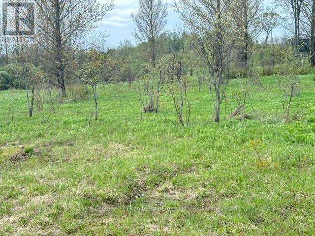 23 Holiday Road, Seguin, Ontario  P2A 2W9 - Photo 8 - X13171880