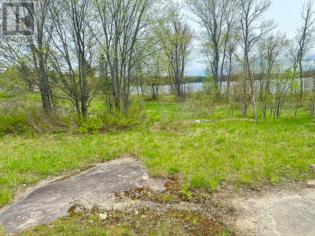23 Holiday Road, Seguin, Ontario  P2A 2W9 - Photo 9 - X13171880