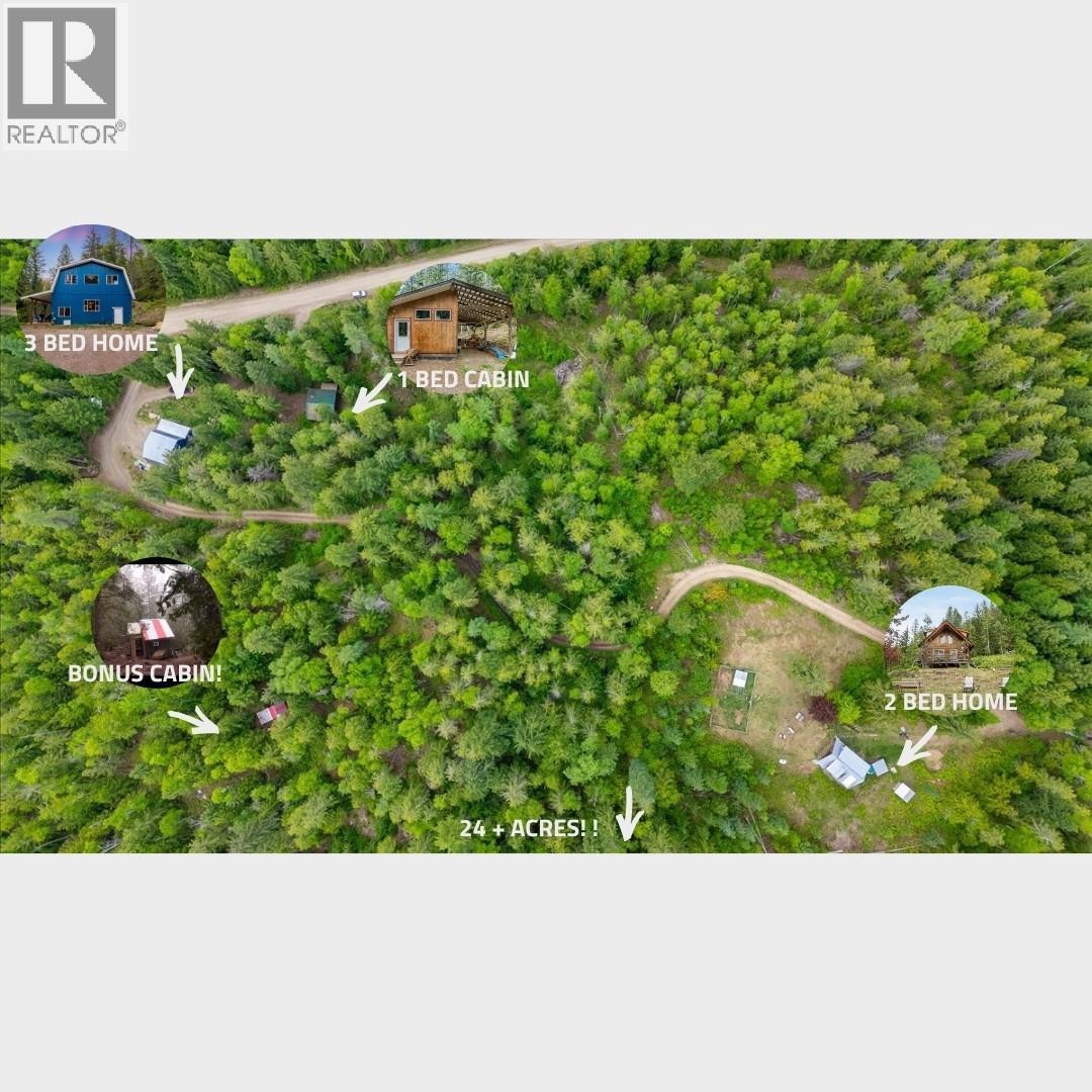 8907 Martens Road, Slocan, British Columbia V0G 2C0 - Photo 2 - 10388581