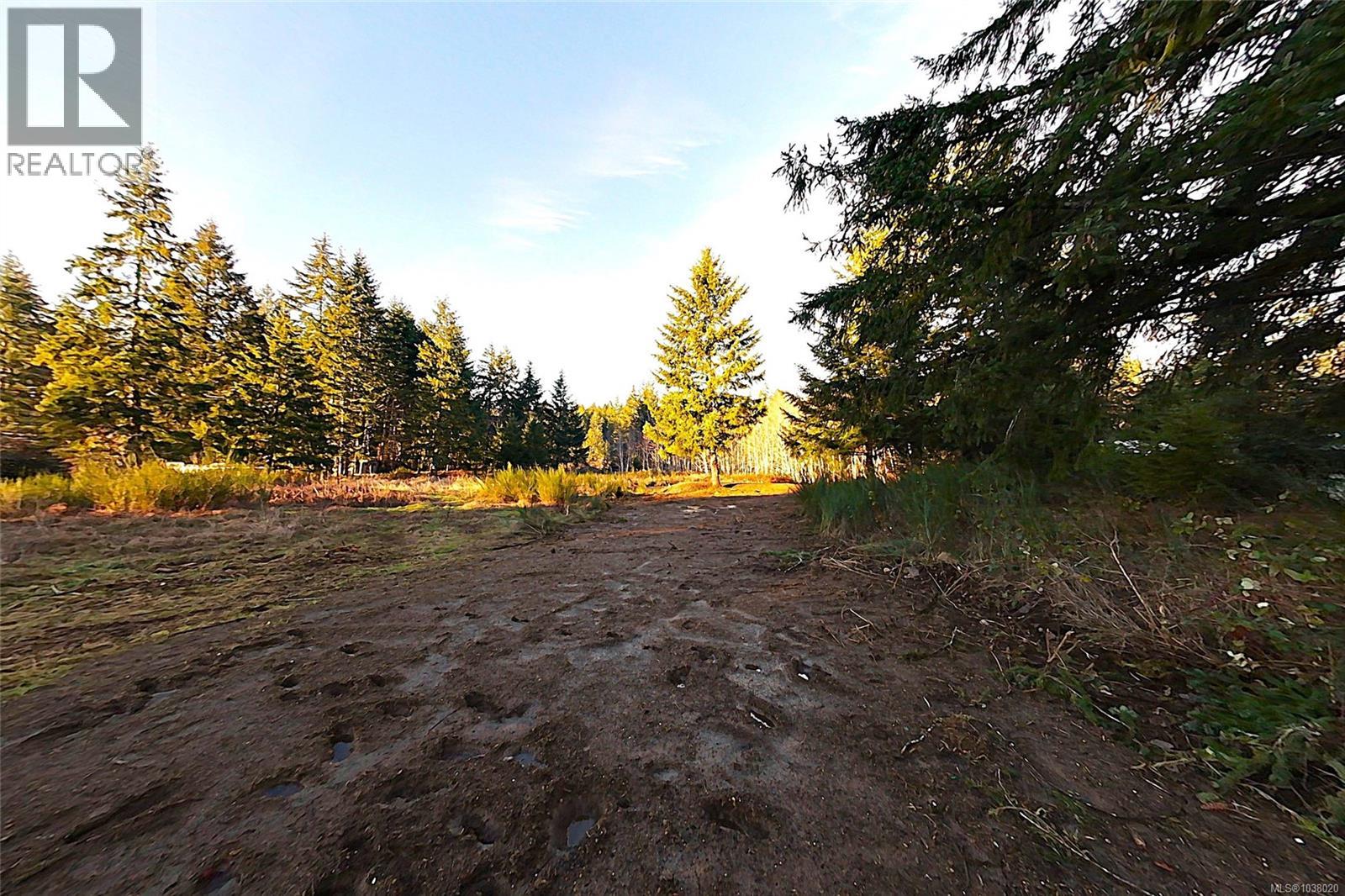1 2831 Burde St, Port Alberni, British Columbia  V9Y 7M4 - Photo 11 - 1038020