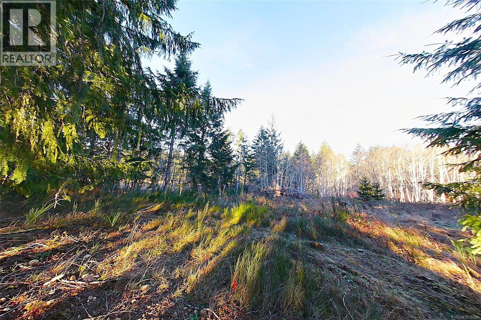 1 2831 Burde St, Port Alberni, British Columbia  V9Y 7M4 - Photo 16 - 1038020
