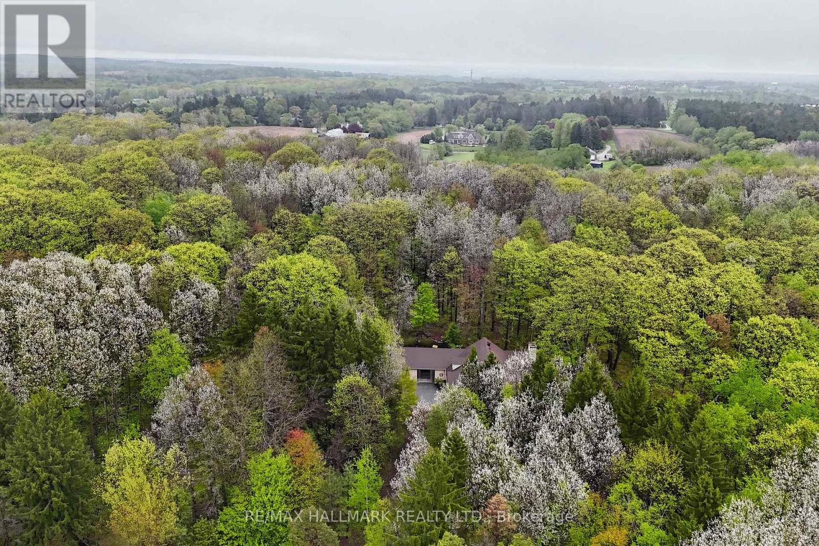 95 Fog Road, King, Ontario  L7B 1A3 - Photo 2 - N13164748