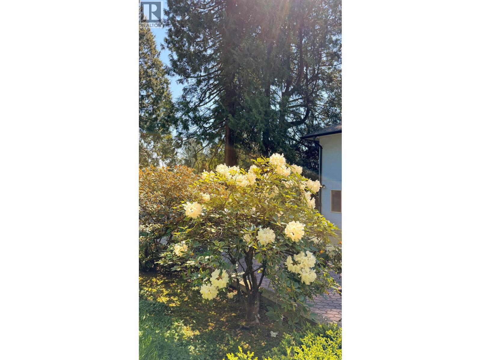 1393 Mathers Avenue, West Vancouver, British Columbia  V7T 2G5 - Photo 11 - R3127435