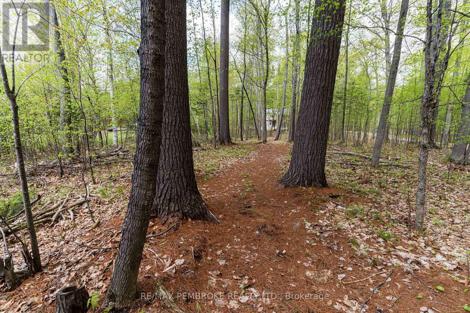 131 Island View Drive, North Algona Wilberforce, Ontario  K0J 1X0 - Photo 22 - X12948610