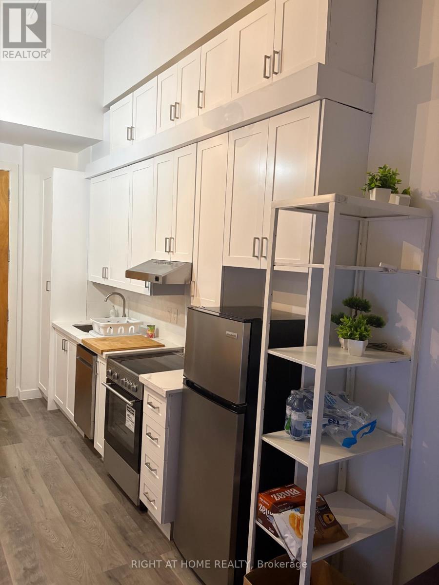 538 - 155 Dalhousie Street, Toronto, Ontario  M5B 2P7 - Photo 5 - C13172250