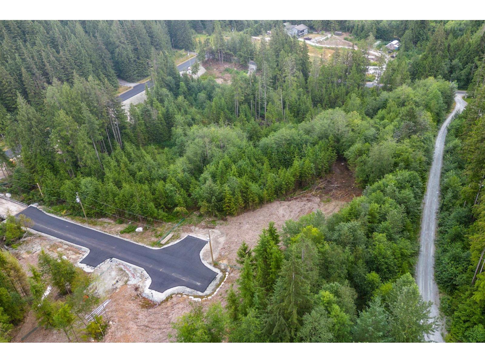 12735 Carr Street, Mission, British Columbia  V4S 1B9 - Photo 5 - R3127189
