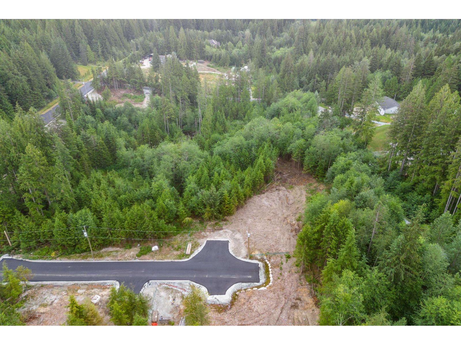 12735 Carr Street, Mission, British Columbia  V4S 1B9 - Photo 4 - R3127189