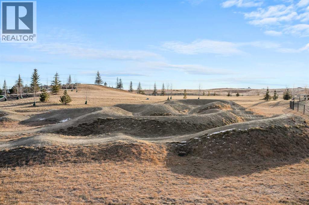 114 Sweet Clover Link, Rural Rocky View County, Alberta  T3Z 0G9 - Photo 43 - A2312724