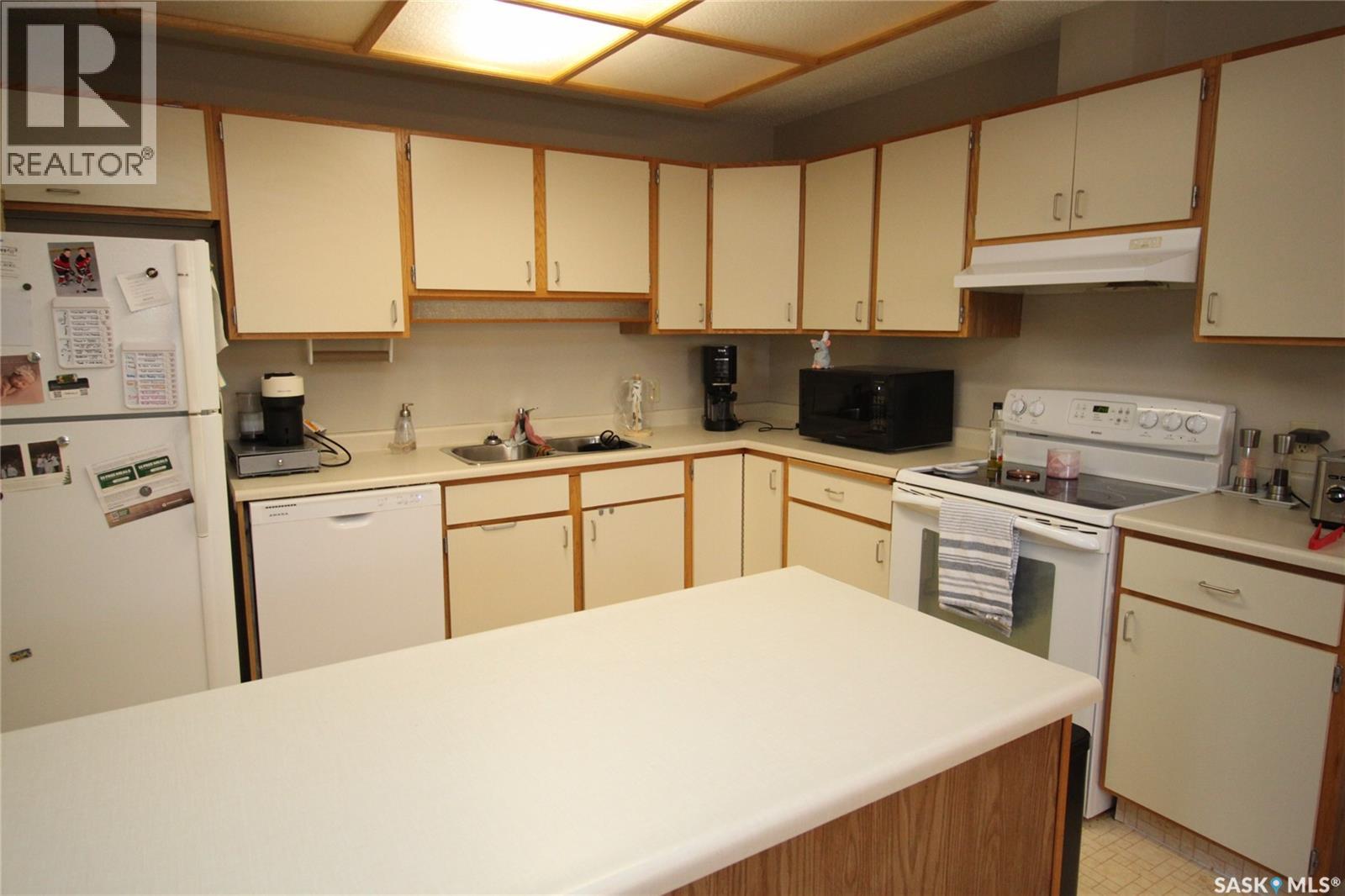 203 1008 Temperance Street, Saskatoon, Saskatchewan  S7N 0N6 - Photo 4 - SK036939